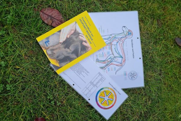 https://www.erlangen-tierarzt.de/wp-content/uploads/2020/12/tierarztpraxis-schwabachgrund-apm-600x400.jpg